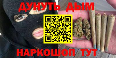 гидра Берёзовский