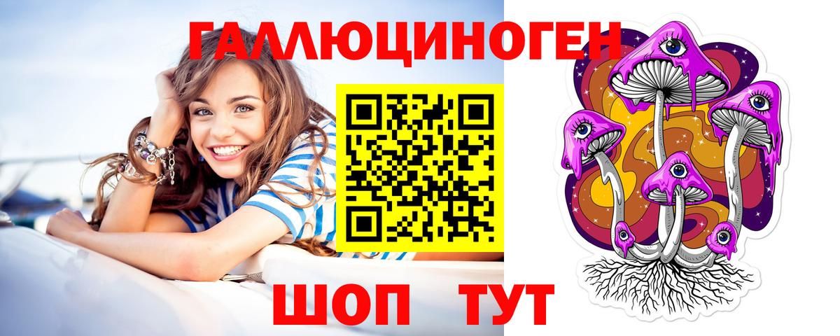 цены   Псилоцибиновые грибы Psilocybine cubensis  Галлюциногенные грибы мицелий  Вход с VPN  Ипатово 